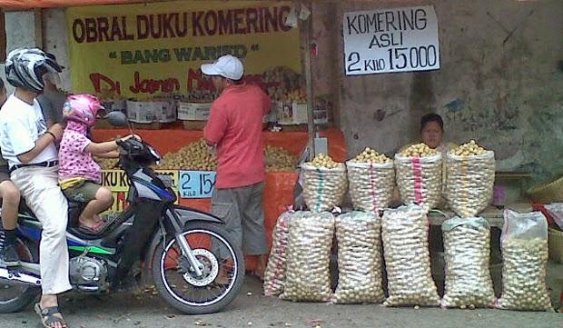 duku-ternyata-mempunyai-beberapa-khasiat-mau-tau-